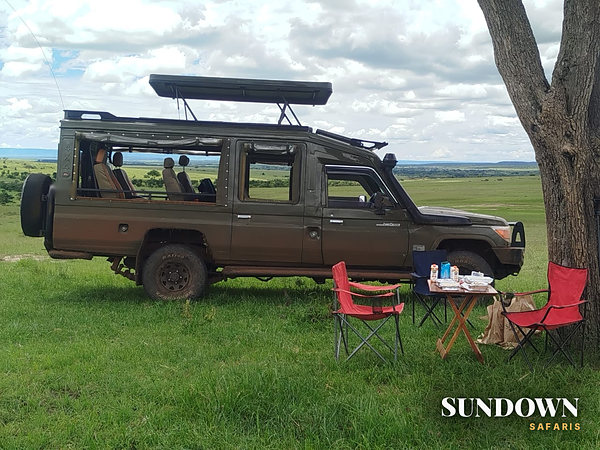 Breakfast under a tree on the plains