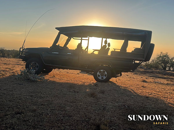 Golden hour from the Land Cruiser