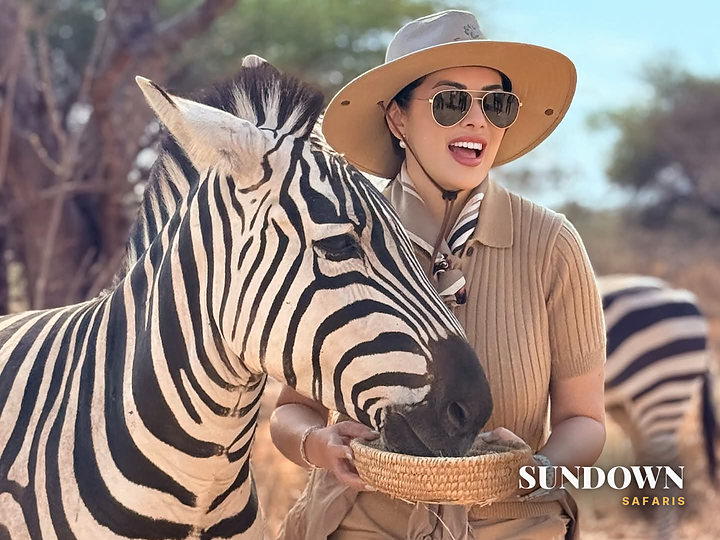 A Sundown Safaris guest meeting a zebra up close